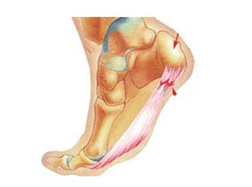 Terapia manual en Fisioterapia y Podología Canal